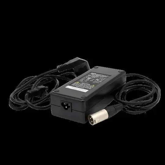 Aostirmotor Ebike Charger