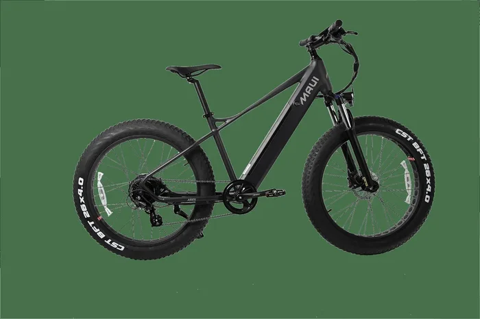 Ares Electric Fat Bikes