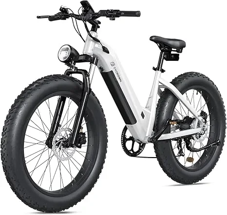 Cycrown CycVerve Fat Tire Ebike Electric Bike – 48V 750W hydraulic brakes, 26″ fat tires, max load 330 lbs – 100% Financing Available!