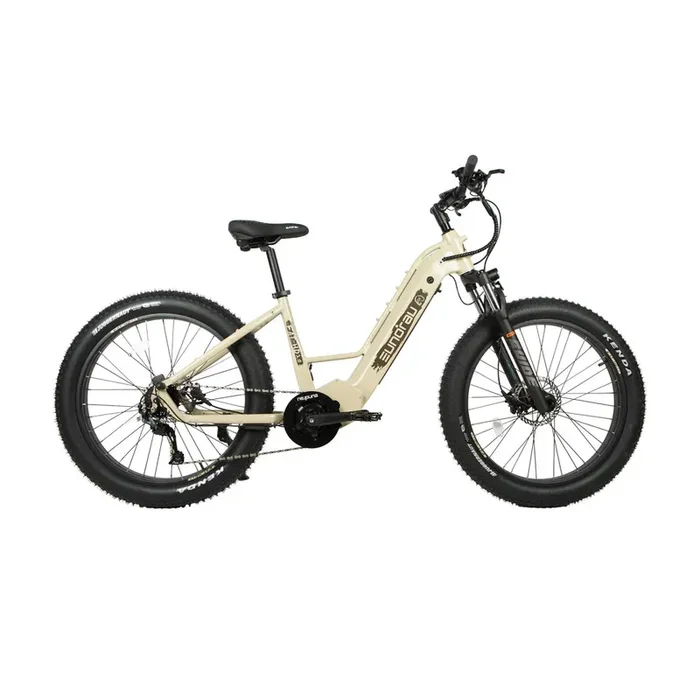 Eunorau| FAT-HD 2.0 Fat Tire 1000W Bafang Mid-Drive Hunting EBike
