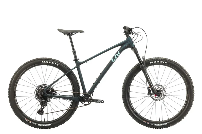 Liv Lurra 29 1 Women’s Mountain Bike – 2023, Large