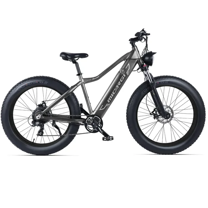 Micargi Steed Electric Mountain Bicycle