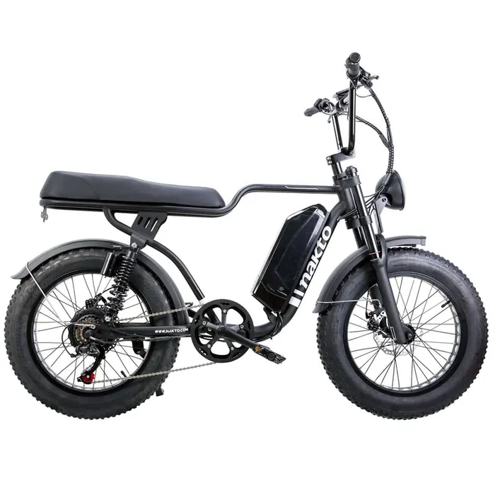 Nakto F2 20″ Fat Tire Professional Electric Bike