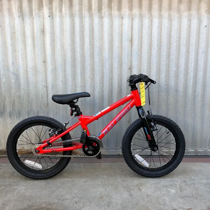 Raleigh Rowdy 16″ Kid’s Bike