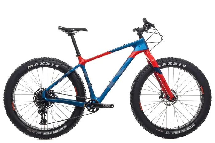 Salsa Beargrease Carbon Large Bike – 2019