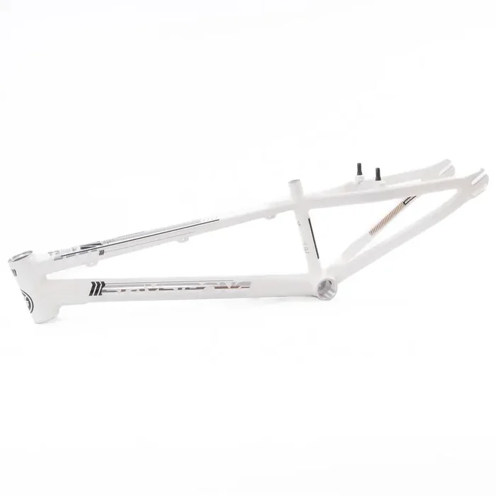 Stay Strong For Life 2023 V4 Cruiser Expert XL Race Frame