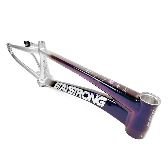 Stay Strong For Life 2024 V5 Pro XXXXL Race Frame – Disc version